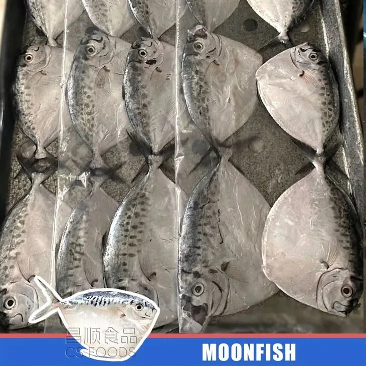 A IQF Moonfish factory