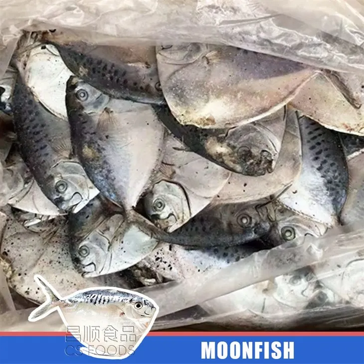 AA IQF Moonfish high quality