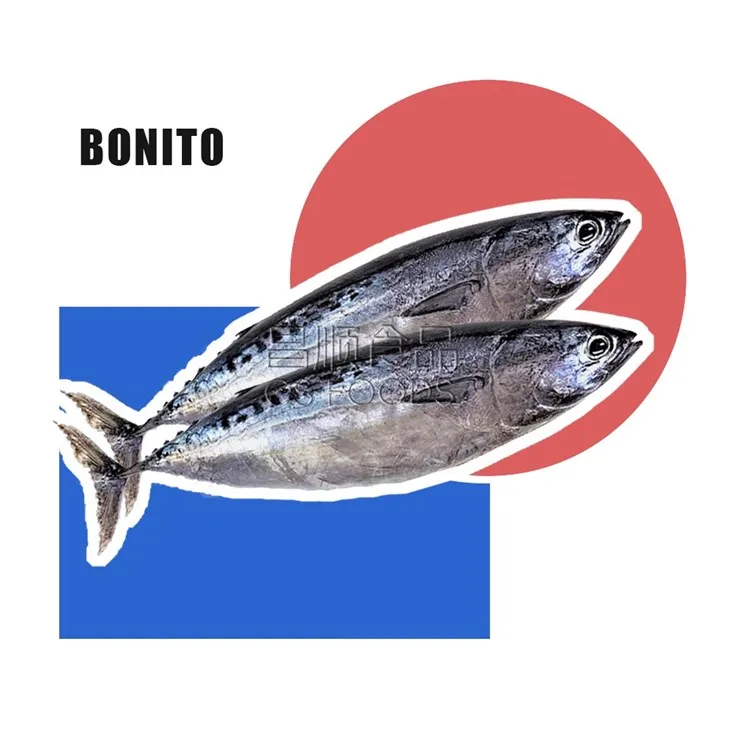 AAA IQF Bonito suppliers