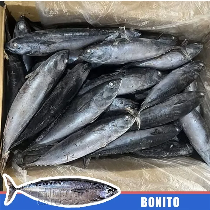 AAA Seafrozen Bonito best