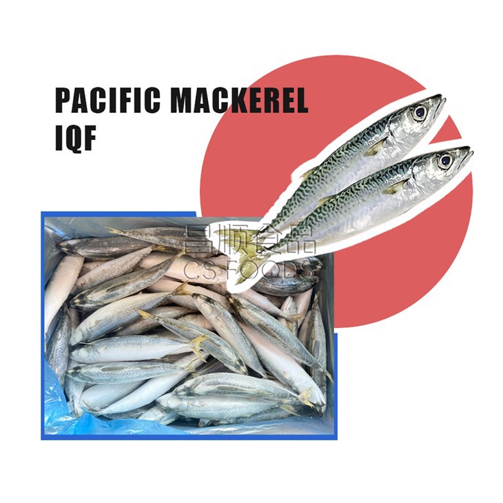 IQF Saba Fish