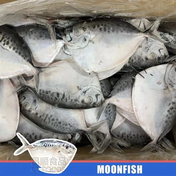 Land Frozen IQF Moonfish factory
