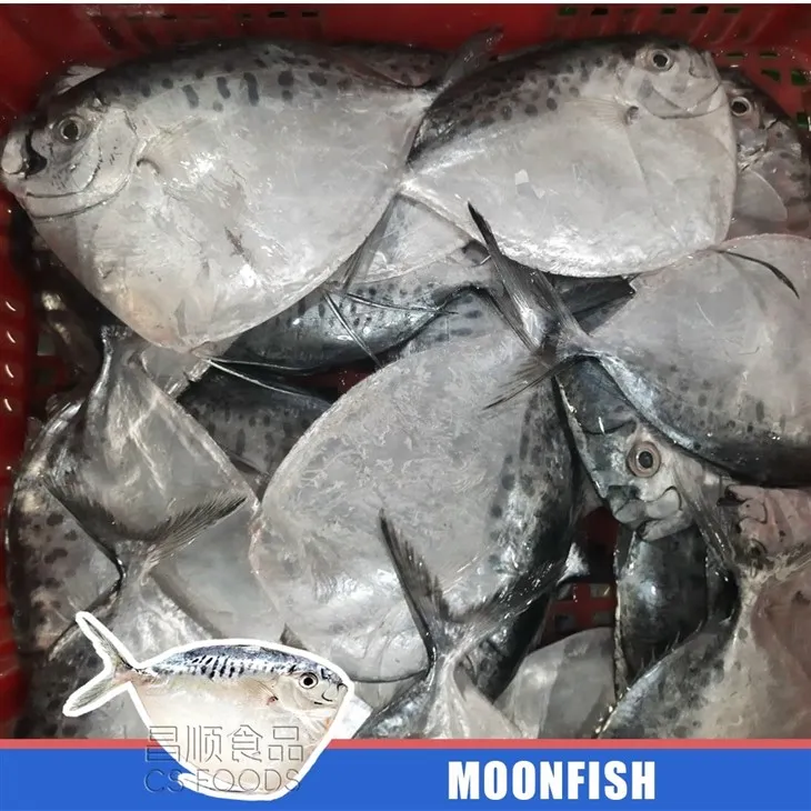 Land Frozen IQF Moonfish suppliers