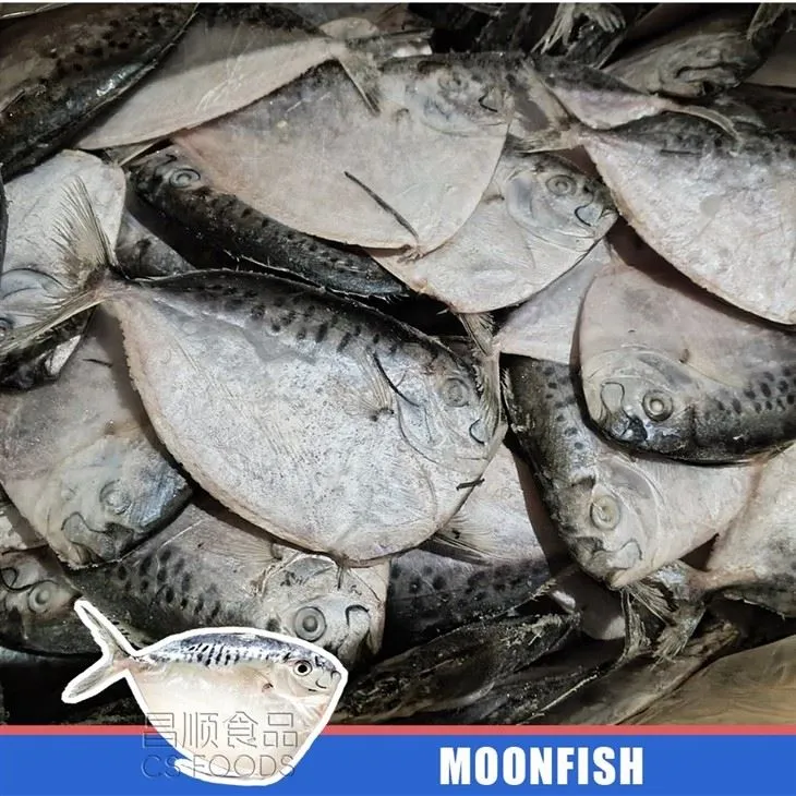 Land Frozen IQF Moonfish best