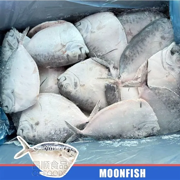 Land Frozen IQF Moonfish high quality