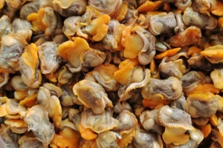 Frozen Blood Clam Meat: A Rising Star in Global Seafood Trade