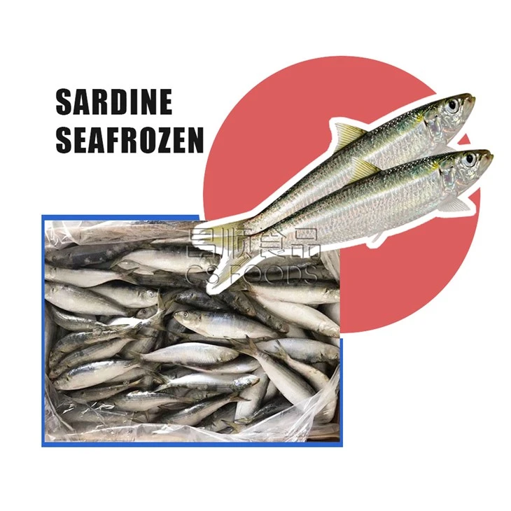Seafrozen Sardine