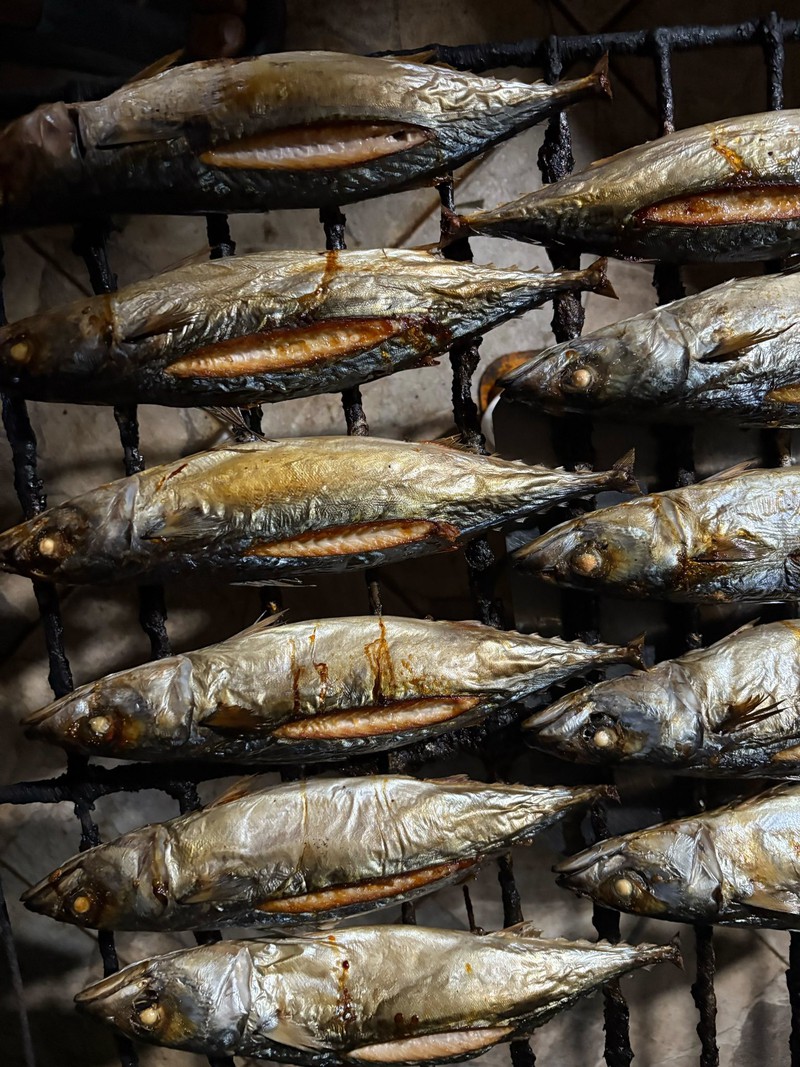 pacific mackerel pacific mackerel