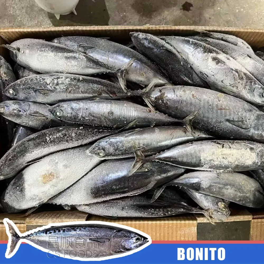 bonito bonito