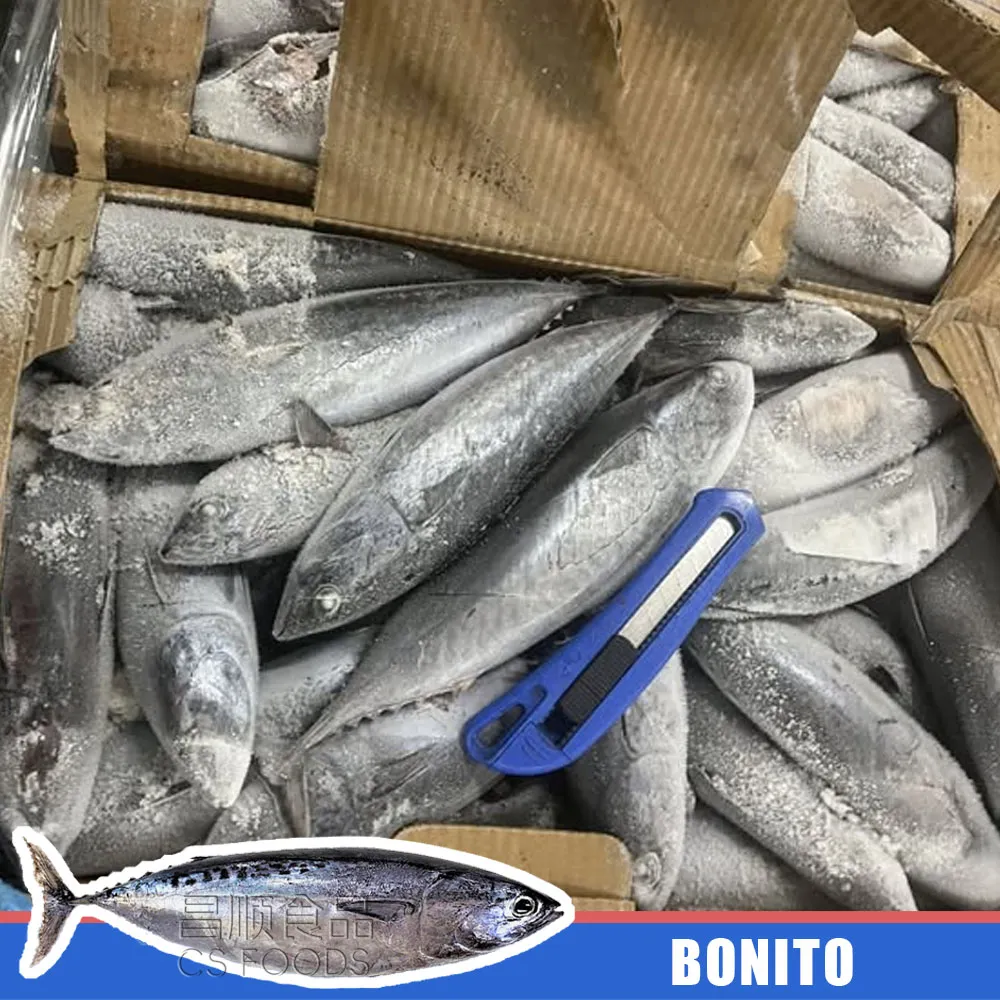 bonito bonito