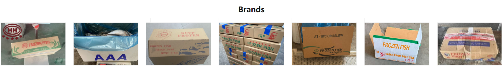 product-1599-263 product-1599-263