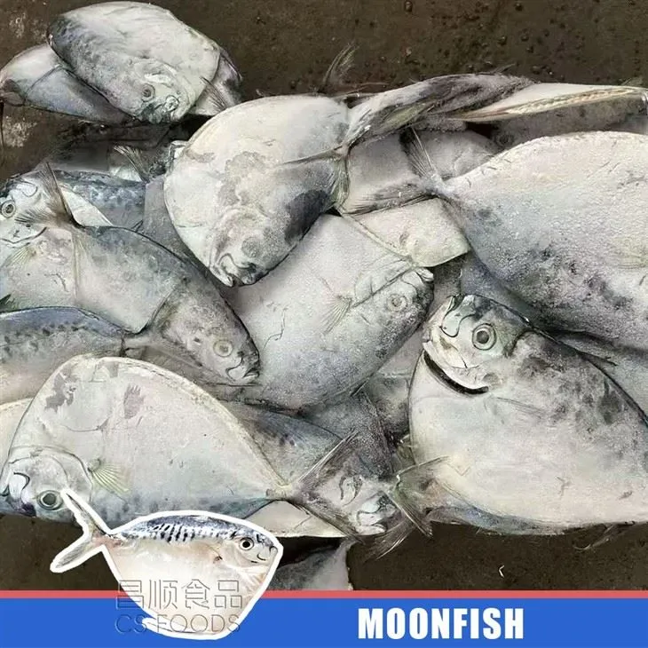 Sea Frozen IQF Moonfish price