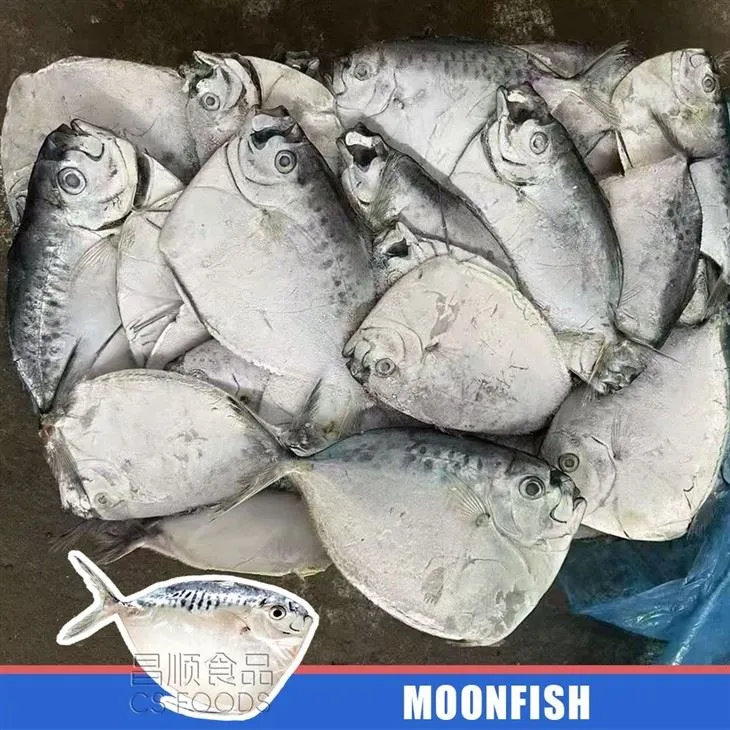 Sea Frozen IQF Moonfish best