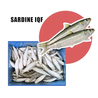 AA Frozen Sardine