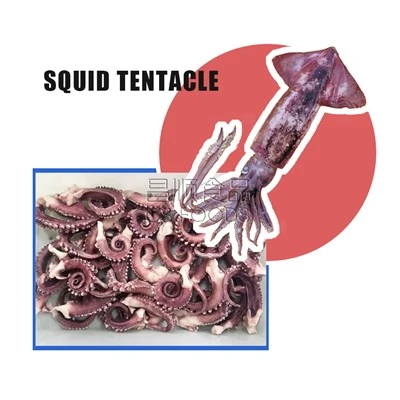 BQF Frozen Squid Tentacle