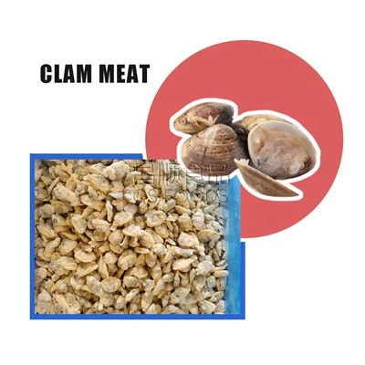 IQF Frozen Clam Meat
