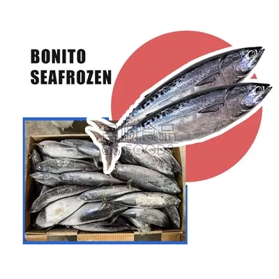 Light Catch Seafrozen Bonito
