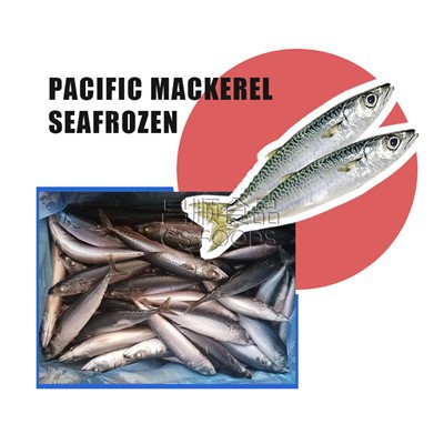 Seafrozen Chub Mackerel