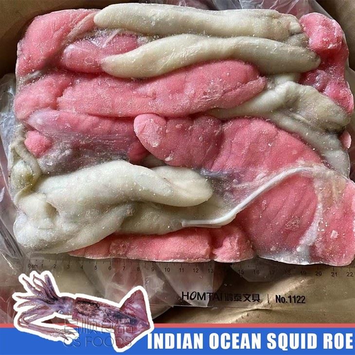 Whole Round Frozen Indian Ocean Squid Roe best