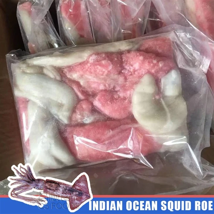 Whole Round Frozen Indian Ocean Squid Roe factory