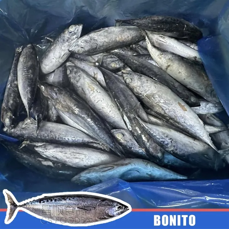 WR IQF Bonito factory